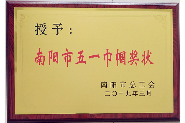 2019.03南陽市五一巾幗獎狀